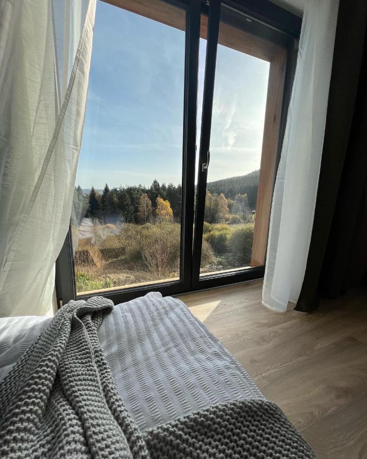 Vila Vila Dvorecna Loučovice Exteriér fotografie