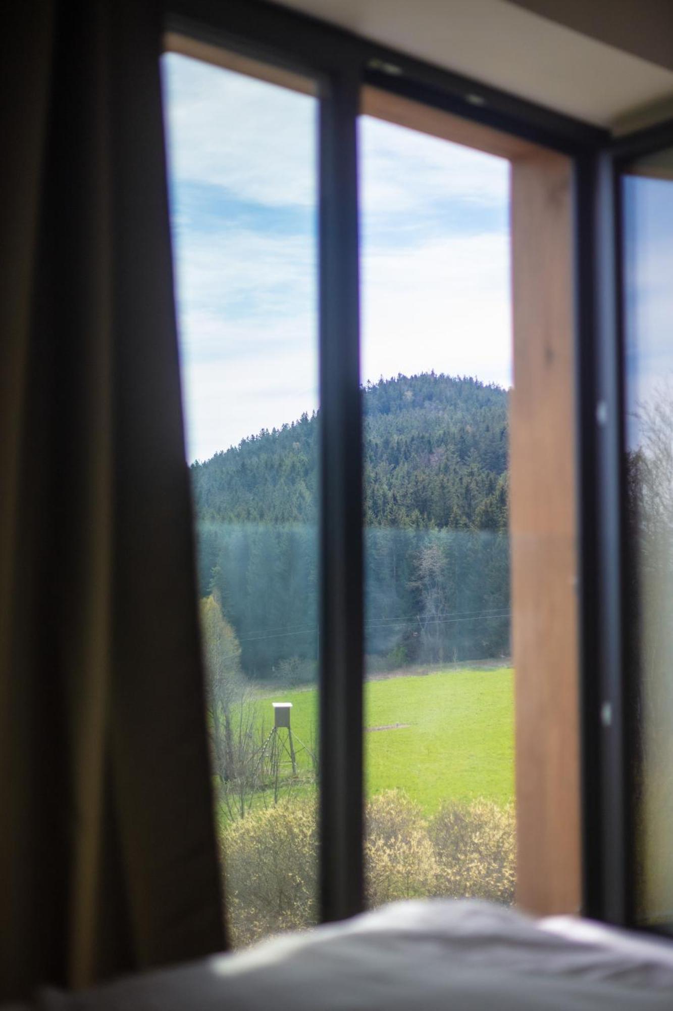 Vila Vila Dvorecna Loučovice Exteriér fotografie