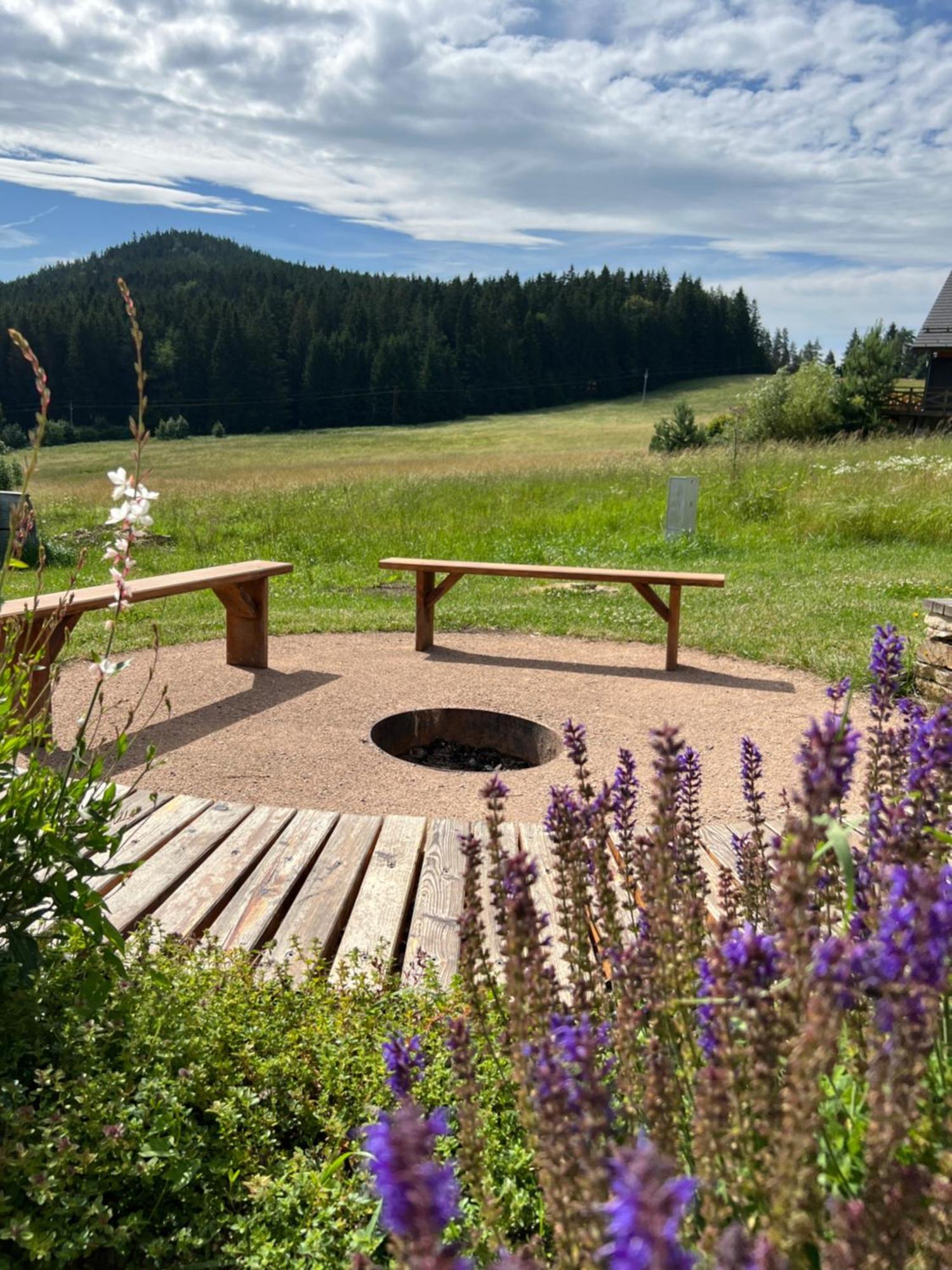 Vila Vila Dvorecna Loučovice Exteriér fotografie