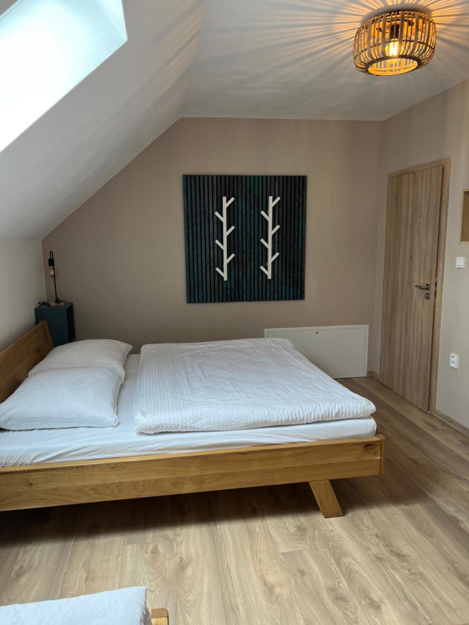Vila Vila Dvorecna Loučovice Exteriér fotografie